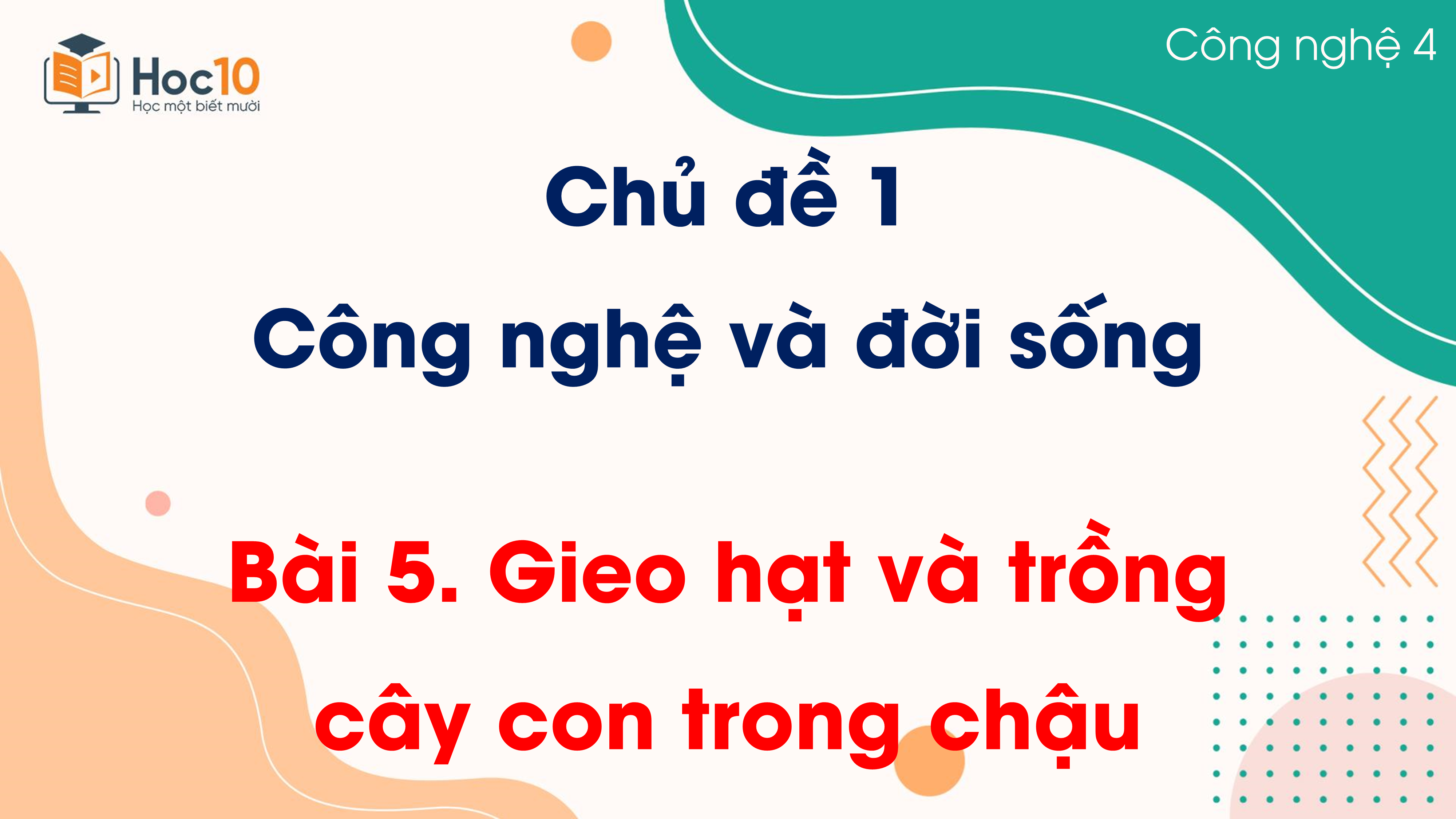 Chủ đề 1 - Bài 5 Gieo hạt và trồng cây con trong chậu